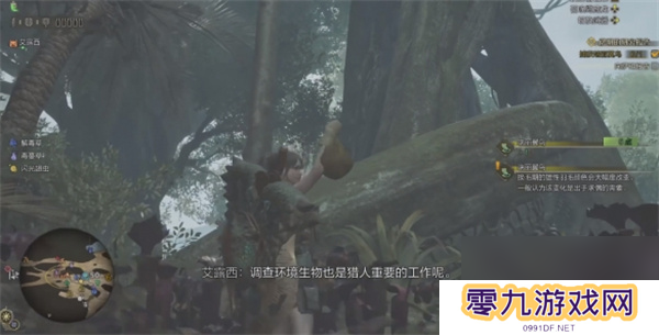 怪物猎人荒野端丽翼鸟具体位置分享