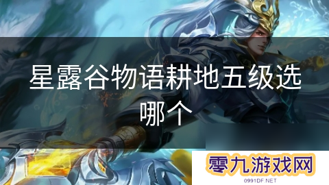 星露谷物语耕地五级选哪个