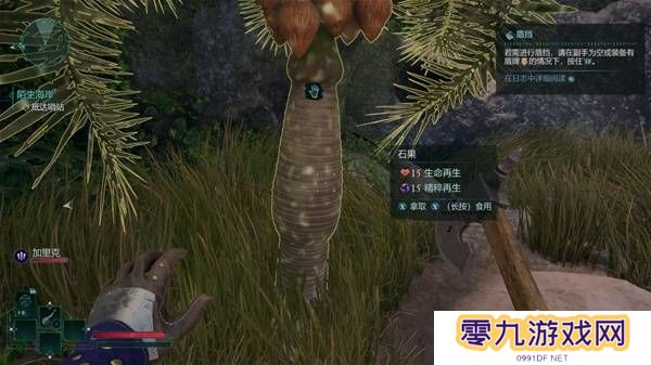 宣誓游戏图文攻略大全   主线