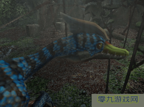本站
