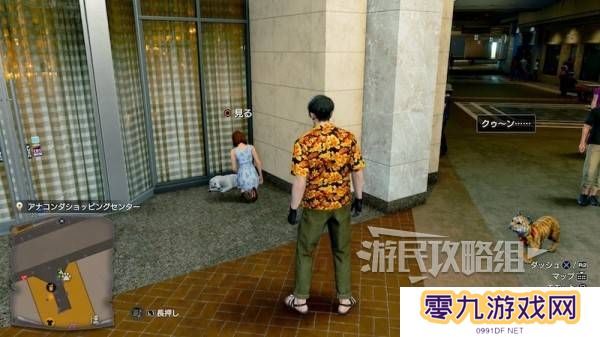 如龙8外传救护动物位置总汇   救护动物食材盘点图片19