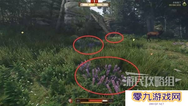 天国拯救2图文攻略大全   所有任务全流程攻略总汇图片29