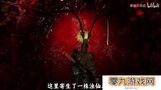 本站