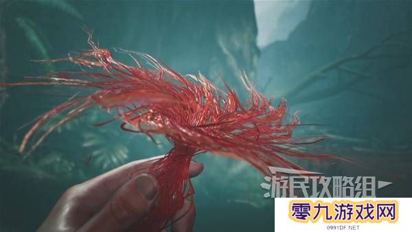 怪物猎人荒野攻略总汇   全章节任务流程攻略图片36