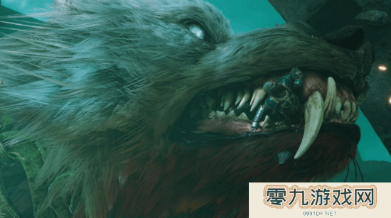 本站
