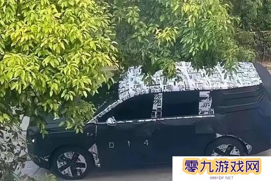 本站