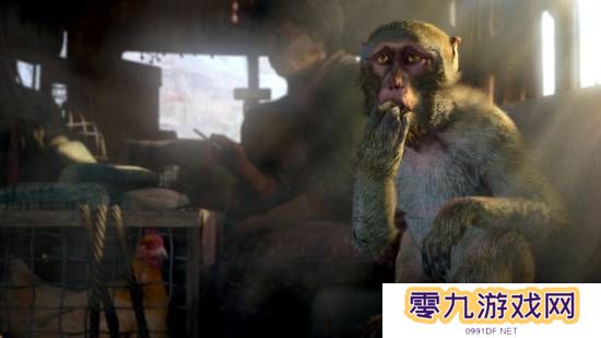 本站