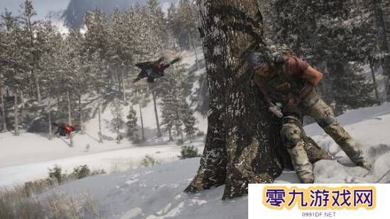 本站