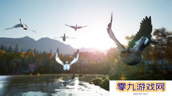 本站