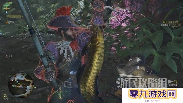 怪物猎人荒野黄金鱼怎么钓    钓黄金鱼位置一览图片6