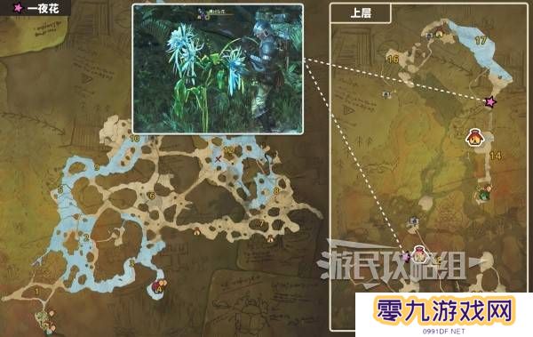 怪物猎人荒野一夜花的月华粉位置及获取途径一览图片4