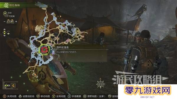 怪物猎人荒野黄金鱼怎么钓    钓黄金鱼位置一览图片3