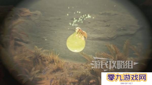 怪物猎人荒野大回复蜜虫位置在哪  大回复蜜虫捕获路线图片5