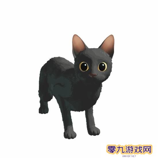 本站