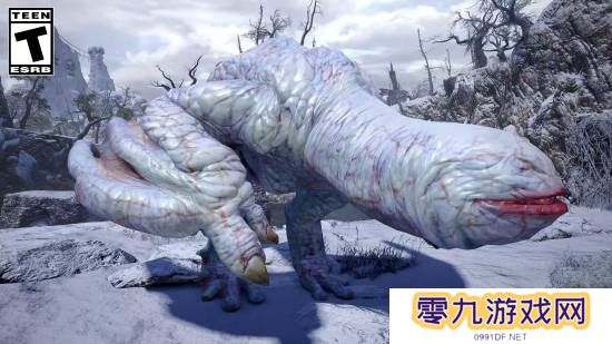 本站