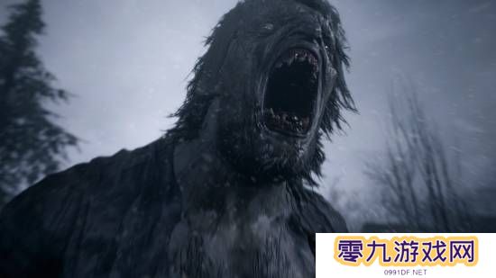 本站