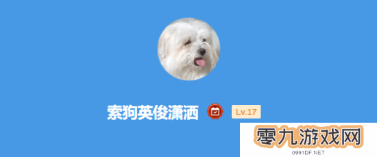 本站