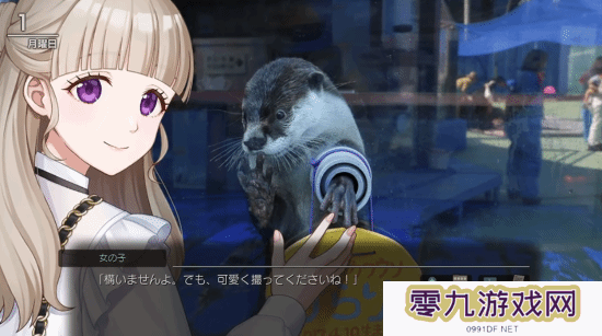 本站